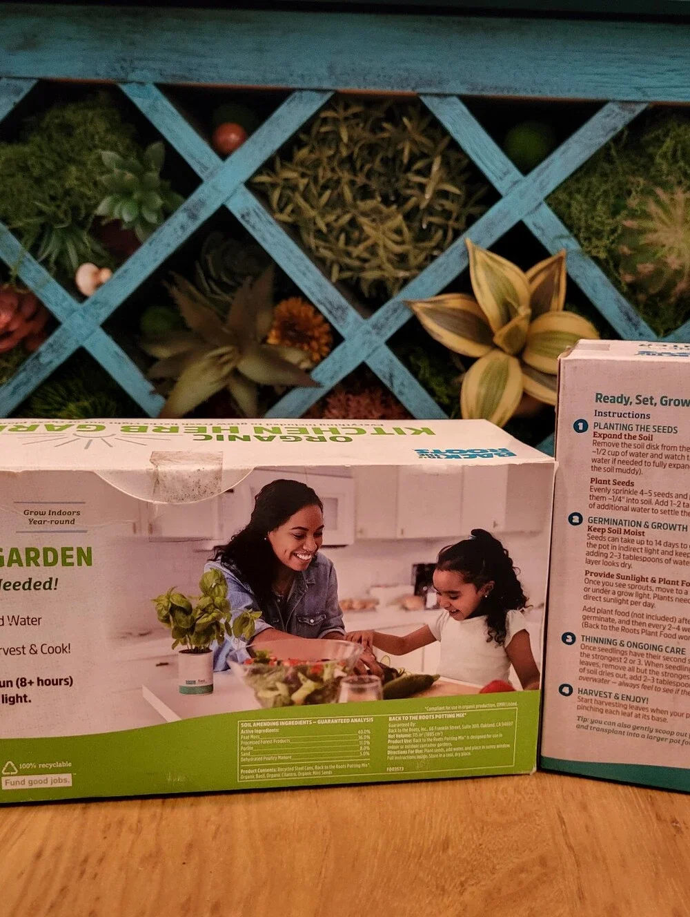 Back to the Roots Organic Herb Garden Kit Cilantro Basil Mint Lemon Balm Kitchen